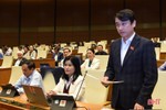 Đại biểu Quốc hội Hà Tĩnh: Cần cải thiện thứ hạng, nâng cao giá trị hộ chiếu Việt Nam