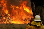 120 đám cháy rừng bùng phát, Australia ban bố tình trạng khẩn cấp