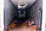 Hà Lan bắt giữ 25 người trốn sang Anh trong container đông lạnh​