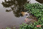 “Hoảng hốt” phát hiện thi thể người đàn ông dưới kênh nước