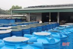 Sáng kiến giúp HTX chế biến nước mắm ở Hà Tĩnh náo đảo bể chượp trong “chớp mắt”