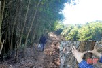 Cần xử lý dứt điểm tình trạng lấn chiếm đất rừng ở tiểu khu 159 Vũ Quang