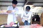 Giật mình với dư lượng thuốc trừ sâu trên rau-củ-quả tại các chợ ở Lộc Hà