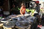 Tiểu thương gom hàng tết, thị trường hải sản Hà Tĩnh “rục rịch” tăng giá 