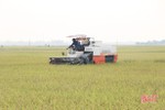 Vụ xuân 2020 ở Hà Tĩnh: Mở đường cho những cánh đồng thẳng cánh cò bay