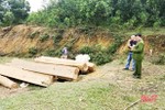 Phát hiện nhiều bê gỗ vô chủ tại xã biên giới Hương Khê