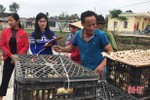 5.100 con gà giống giúp hộ nghèo Thạch Hà khởi nghiệp