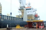 Sản lượng hàng hóa qua các cảng biển Hà Tĩnh tăng 29% so với năm 2018