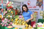 3 ngày thu 4.000 triệu đồng ở Lễ hội Cam và các sản phẩm nông nghiệp Hà Tĩnh