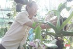 “Mê đắm” vườn lan tiền tỷ của một thầy giáo ở Hà Tĩnh