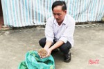 Cung ứng giống lúa ở Hà Tĩnh: Không ít doanh nghiệp “qua mặt” cơ quan quản lý