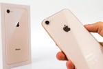 Apple bắt đầu sản xuất thử nghiệm iPhone 9
