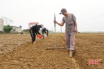 Tiến độ gieo trỉa cây trồng cạn vụ xuân ở Hà Tĩnh mới chỉ đạt 30 - 71%