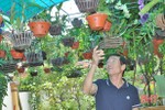 Ngắm vườn hoa của cụ ông 71 tuổi trên miền sơn cước Hà Tĩnh