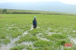 Cần sớm tìm nguyên nhân đất nông nghiệp bị sình lầy quanh hồ chứa nước lớn nhất Nghi Xuân