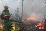 Đốt thực bì gây cháy rừng, người đàn ông ở Hà Tĩnh bị phạt 90 triệu đồng
