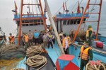 Bắt 2 tàu cá Nghệ An vào vùng biển Hà Tĩnh khai thác sai quy định