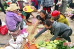 Đi chợ quê, một số người dân Hà Tĩnh chủ quan không sử dụng khẩu trang phòng dịch!