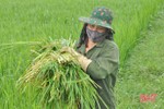 Nông dân Hương Sơn bảo vệ mình khi ra đồng mùa dịch