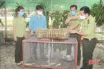 Bàn giao cá thể rùa trán vàng, cầy hương cho Vườn quốc gia Vũ Quang