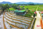 Xây dựng đề án tỉnh Hà Tĩnh đạt chuẩn nông thôn mới khả thi, bền vững