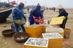 Trúng cá trích, ngư dân Thạch Hà “sống ổn” giữa mùa dịch