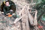 Bắt đối tượng khai thác rừng trái phép ở Hà Tĩnh