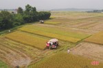 Nông dân Hà Tĩnh dồn sức thu hoạch gọn lúa xuân