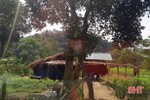 “Lén lút” dựng 4 lán trại trái phép trong Vườn Quốc gia Vũ Quang