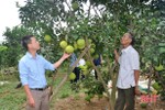 Chuyên gia gợi mở giải pháp gỡ khó, xác định chiến lược SXKD cho HTX nông nghiệp ở Hà Tĩnh