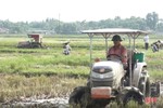 Sản xuất lúa hè thu ở Hà Tĩnh, “sớm một ngày, hay một điều”!