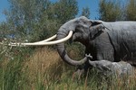 Khai quật hóa thạch voi 300.000 năm tuổi