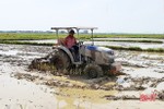Chạy đua thời vụ, nông dân Hà Tĩnh tất bật sản xuất lúa hè thu