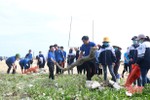 Hơn 300 ĐVTN huyện Kỳ Anh ra quân vệ sinh môi trường biển