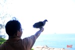 Thợ săn lùng sục, loại chim quý ở vùng biển Kỳ Xuân rời bỏ chốn quen