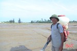Lão nông Hà Tĩnh “mê” ruộng, thu hoạch 45 tấn lúa/vụ