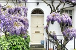Trang trí cửa nhà bằng hoa đẹp mơ màng theo phong cách London