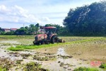 Lộc Hà “hồi sinh” 20 ha đất sản xuất lúa bỏ hoang nhiều năm trong vụ hè thu