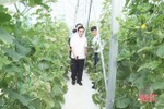 Phó Chủ tịch UBND tỉnh Hà Tĩnh kiểm tra mô hình dưa lưới tại Cẩm Xuyên