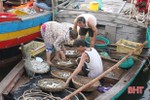 Loài cá truyền thống chưa xuất hiện trong vụ cá nam ở Hà Tĩnh