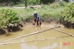 Nhà máy nước sạch “đắp chiếu”, hơn 2.000 người dân ở Can Lộc bơm nước từ ruộng, ao hồ về dùng