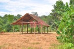 Thêm 1 trường hợp dựng nhà gỗ trái phép ở huyện miền núi Hà Tĩnh