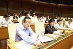 Kỳ họp thứ 9: Quốc hội biểu quyết thông qua Luật Thanh niên sửa đổi