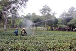 Nông dân Hà Tĩnh tìm đủ cách chống hạn “cứu” cây trồng