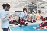 Haivina Hồng Lĩnh thu hơn 13 tỷ đồng từ xuất khẩu găng tay