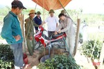 Nông dân vùng biên giới Hà Tĩnh nghĩ đủ cách chống hạn “cứu” cây trồng chủ lực