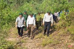 Chủ tịch UBND tỉnh Trần Tiến Hưng: Tập trung cao nhất chữa cháy rừng theo phương châm “4 tại chỗ”