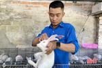 Ra mắt mô hình nuôi thỏ của bí thư chi đoàn ở thị xã Hồng Lĩnh