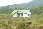Dự án chậm tiến độ, 20 ha đất ở phường Đậu Liêu bị bỏ hoang nhiều năm