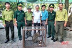Bàn giao cá thể khỉ mốc cho Vườn Quốc gia Vũ Quang
